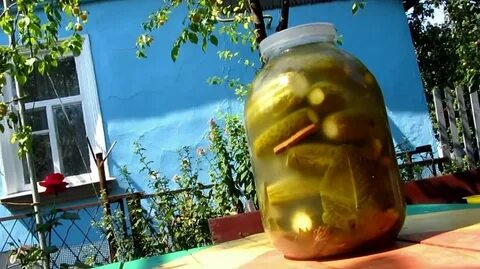 Огурцы под пластиковой крышкой