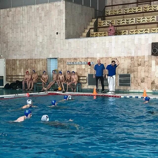 мгфсо водное поло чертаново. степанюк константин водное поло. радуга водное поло. юность москвы водное поло. бассейн жемчужина митино водное поло.