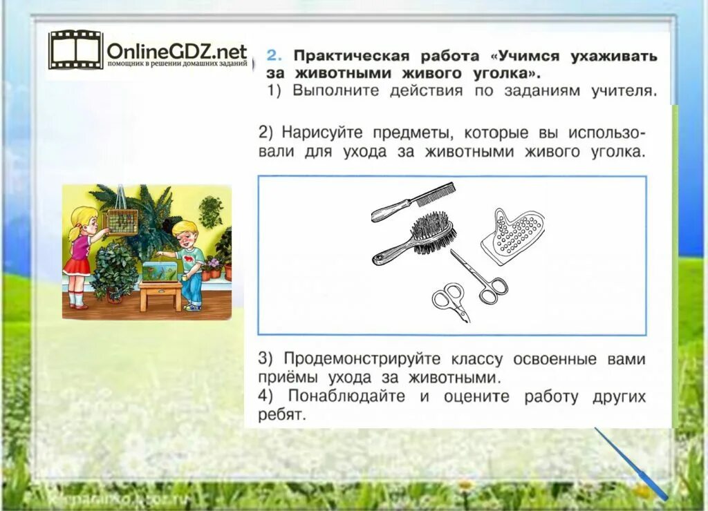 Практическая работа поиск информации ответы