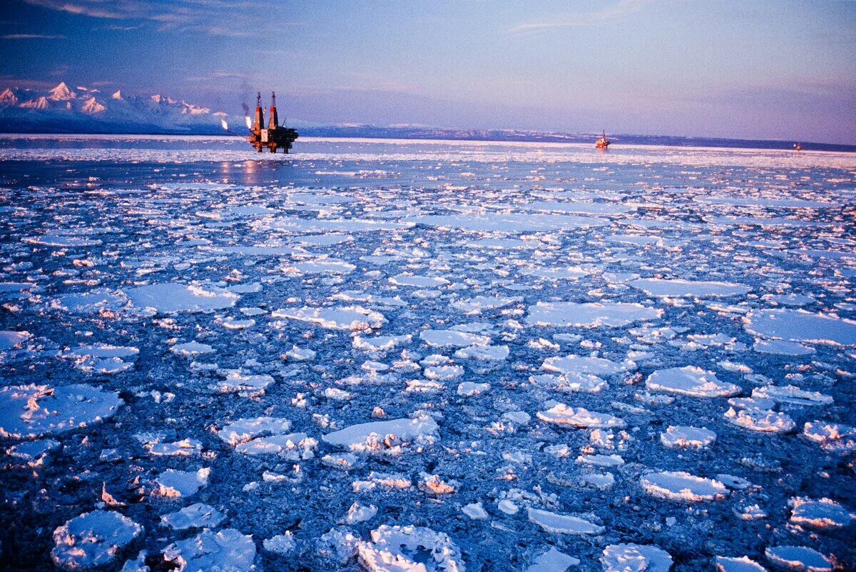 Северно ледовитый океан крупнейшее море. Арктика Северный Ледовитый океан. Добыча нефти в Северном Ледовитом океане. Северный Ледовитый океан Восточно-Сибирское море. Шельф Северного Ледовитого океана.