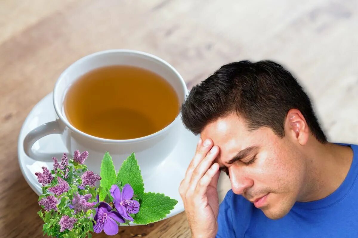 Чай на голову. Фитотерапия человек. Чай от головы. Человек и чай из трав. Какая трава помогает от боли