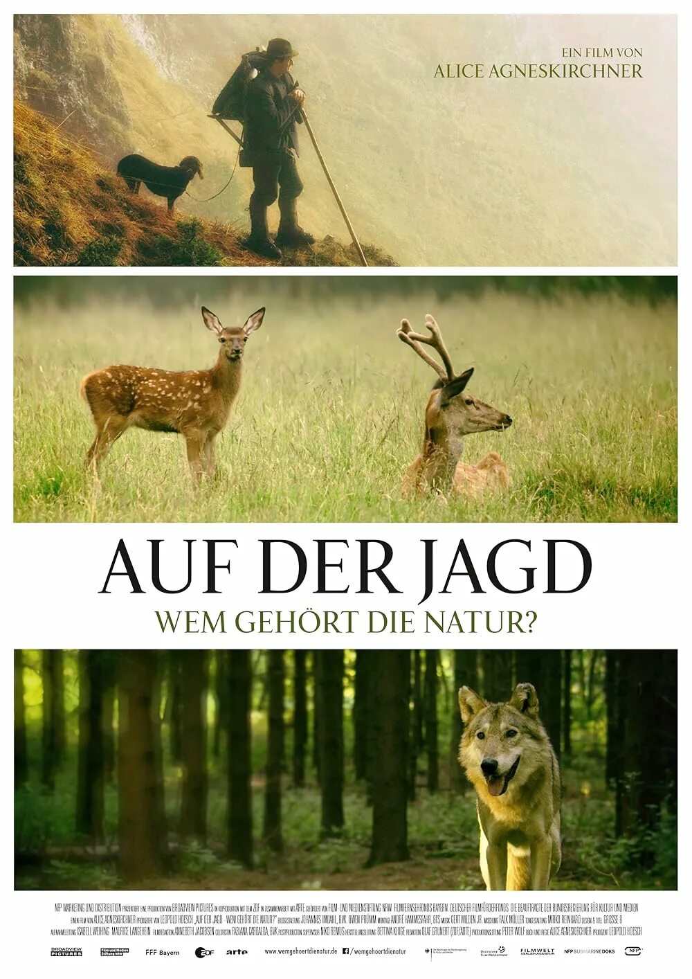 Jagd auf. Jagd auf