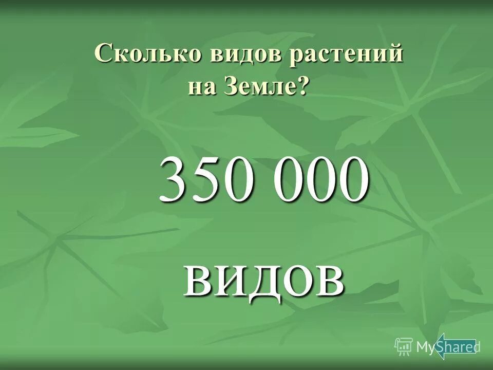 Сколько видов. Число видов растений. Численность видов растений. Количество видов растений. Сколько растений на планете.