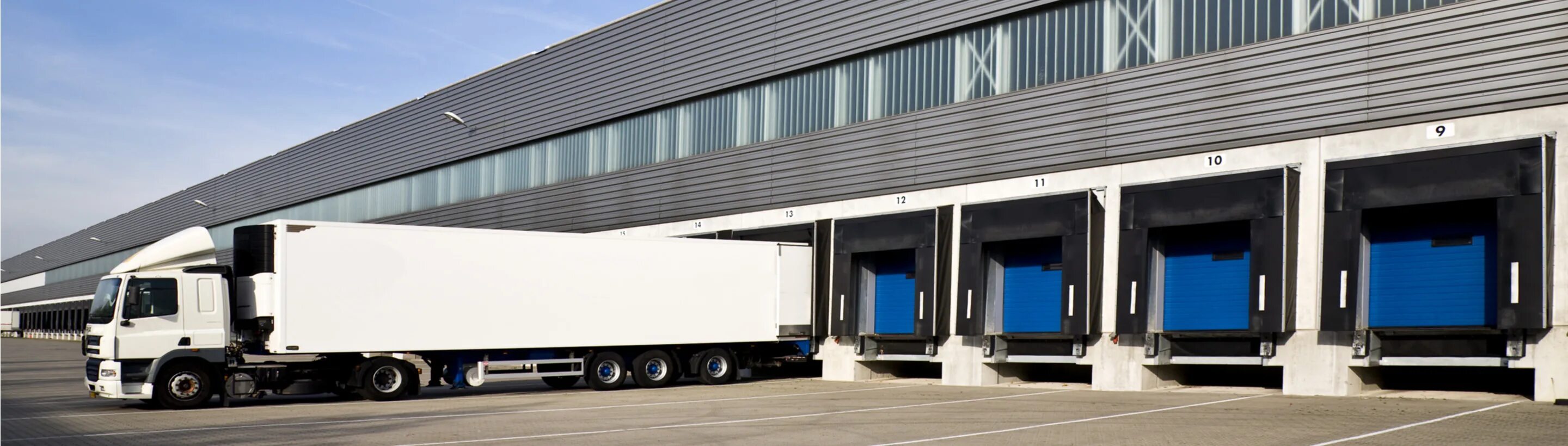 Logistic ltd