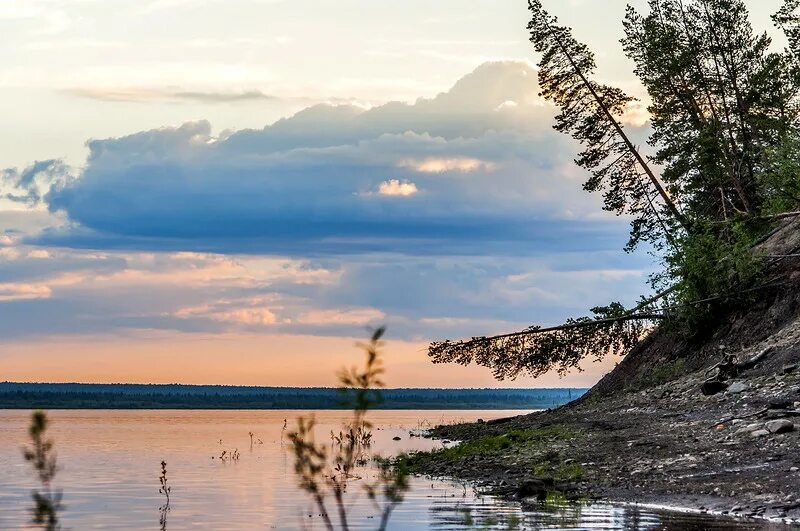 Берег реки печора. Реки россии печора. Берег реки печора. Печора европа. Вид реки печора.