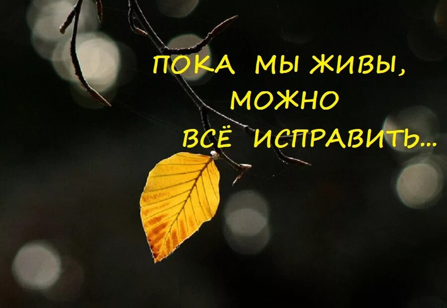 Трепещущий листок