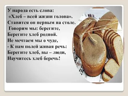 Слова всему голова