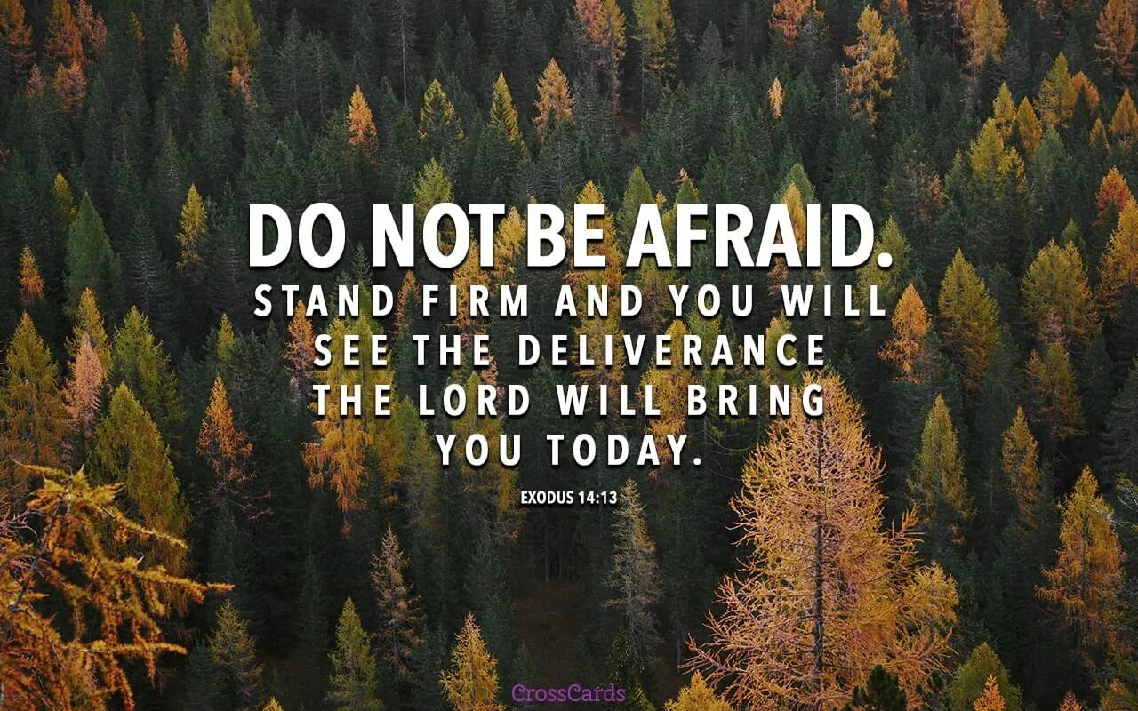 Do not be afraid. Be not afraid. to be afraid of. do not be perfectionist wallpaper.