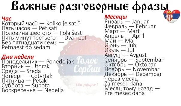 10 разговорных предложений. Фразы на сербском языке. Смешные фразы на сербском языке. Сербские слова. Смешные сербские слова.