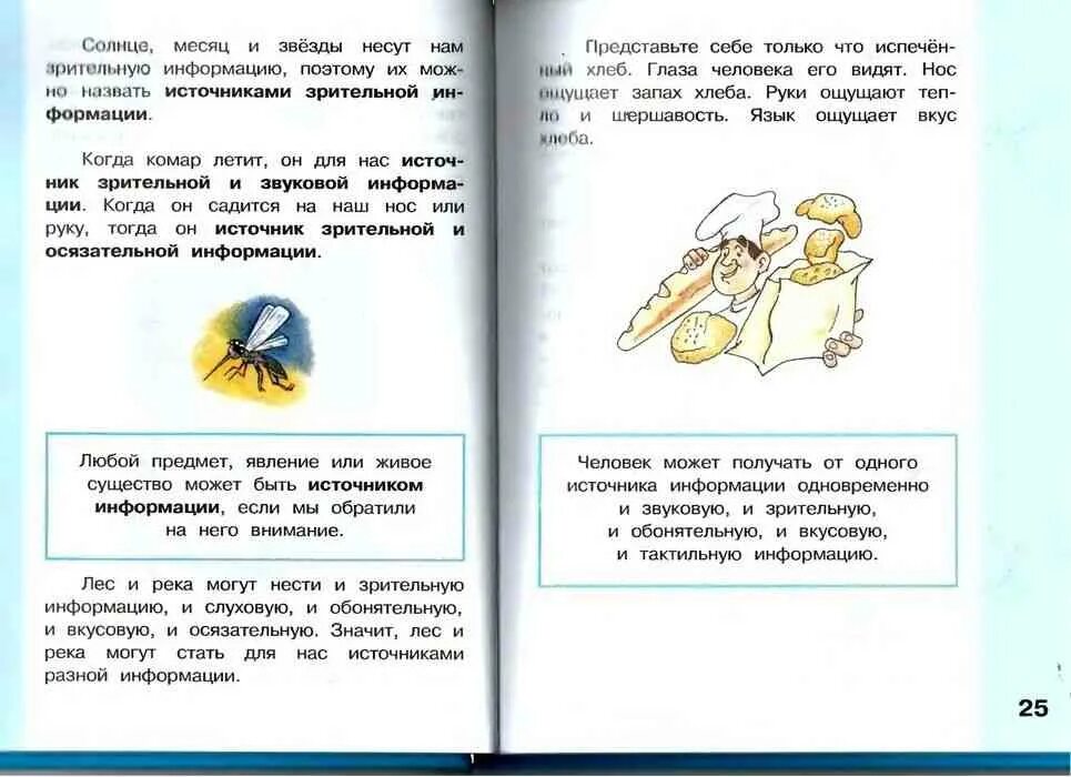 Учебник информатики 2 класс читать. Информатика 2 класс учебник. учебник информатики 2 класс матвеева.