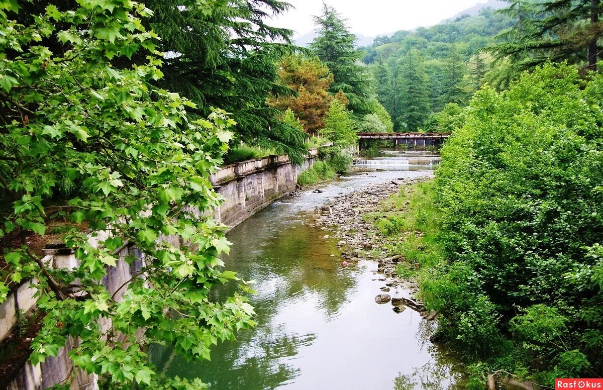 сочи море река. река ажек краснодарский край. река псоу сочи. сочи море река. река шахе краснодарский край.