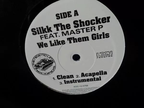 Песня like they. Silkk the Shocker the Shocker 1996. The Shocker перевод. The Shocker - up your ass Tray - the Full length (2006, CD). Petey meets the animals Marina Gening.