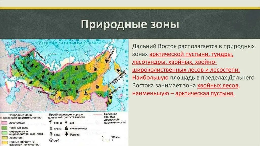 Природные зоны дальнего Востока. Природные зоны дальнего Востока карта. Природные зоны Восточной Сибири и дальнего Востока. Природные зоны дальнего Востока дальнего Востока.