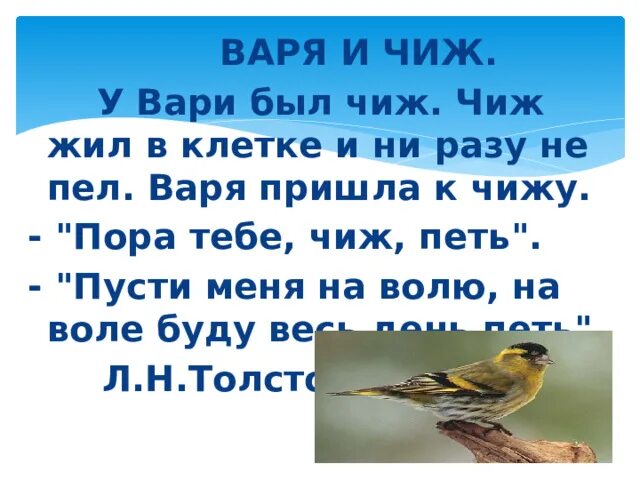 У вари есть конфеты 10 мятных. У вари был чиж. у вари был чиж толстой.