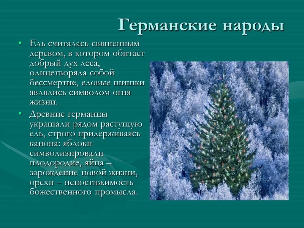 Символ ели значение. Елка символ смерти. ель священное дерево. ель священное дерево древних народов. ель символ древних славян.
