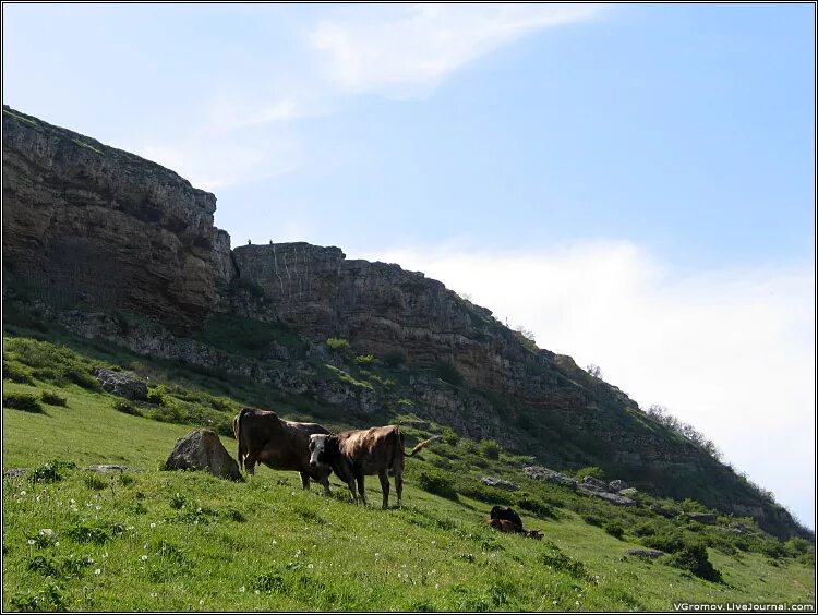 Гора Тарки Тау в Дагестане. Тарки Тау Махачкала. Плато Тарки Тау.