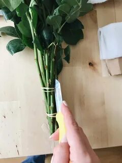 Сохранить срезанные