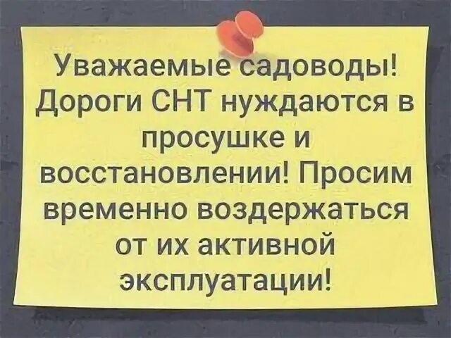 Просушка 2024