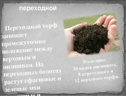 К какому виду относится торф