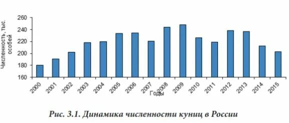 численность куницы. численность куницы. лесная куница. численность куниц. статистика по операциям на молочную железу.