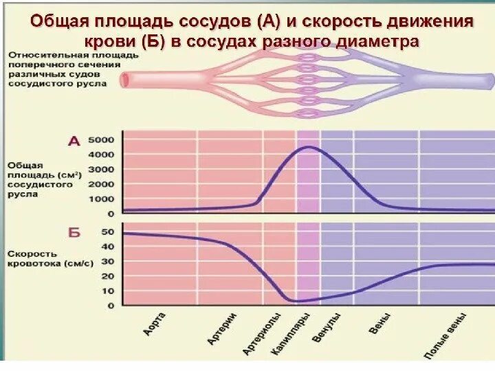 Давление в движении