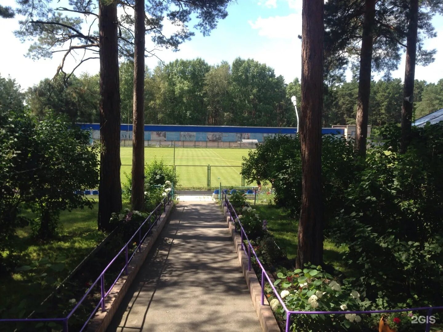 Dynamo, sports club, group, Москва, Ленинградское шоссе, 39, стр. 53 - Yandex Ma