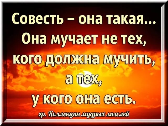 Пусть совесть. Совесть она такая она мучает. Статусы про совесть. Совесть мучает. Совесть она такая мучает не тех кого должна а тех у кого она есть.