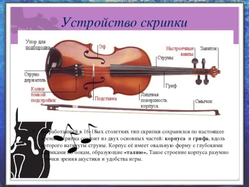 Строение скрипки Страдивари. Название частей скрипки. Скрипка схема. Элементы скрипки названия.