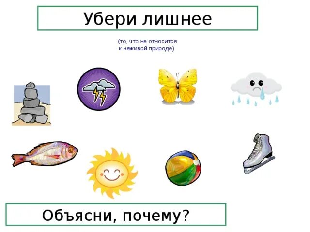 Про живое неживое. Живые и неживые предметы. живое неживое для дошкольников. живые и неживые предметы для дошкольников. живая и неживая природа для дошкольников.
