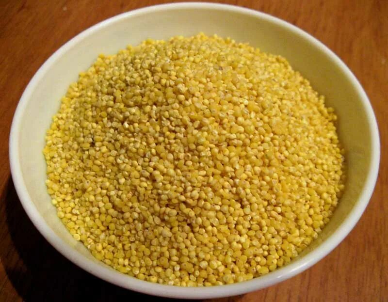 цвет пшена. пшено просо каша. пшено дранец. одноденное пшено. пшенка крупа.