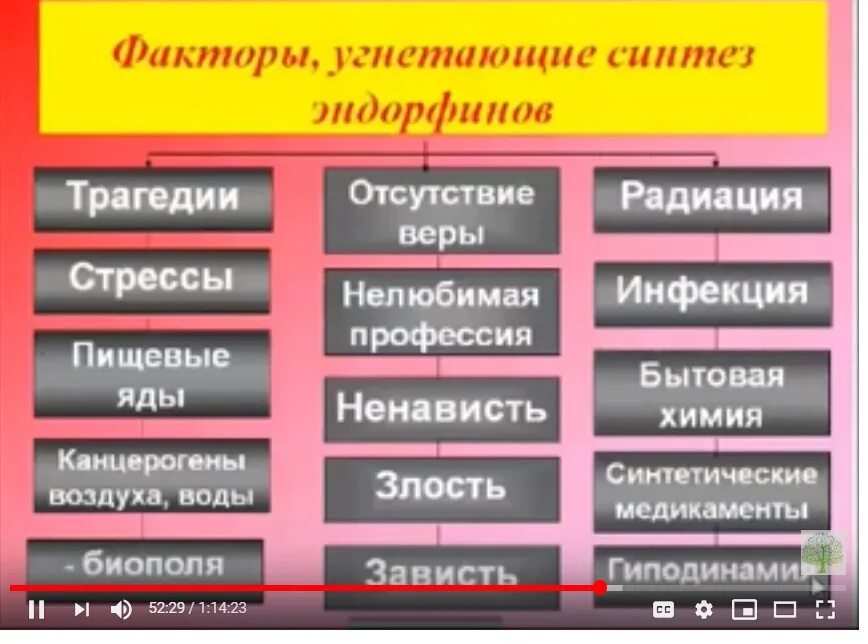 Эндорфин чувство вызывает в человеке. Повышение эндорфинов. Способы выработки эндорфинов. Способы получения эндорфинов. Функции эндорфинов.