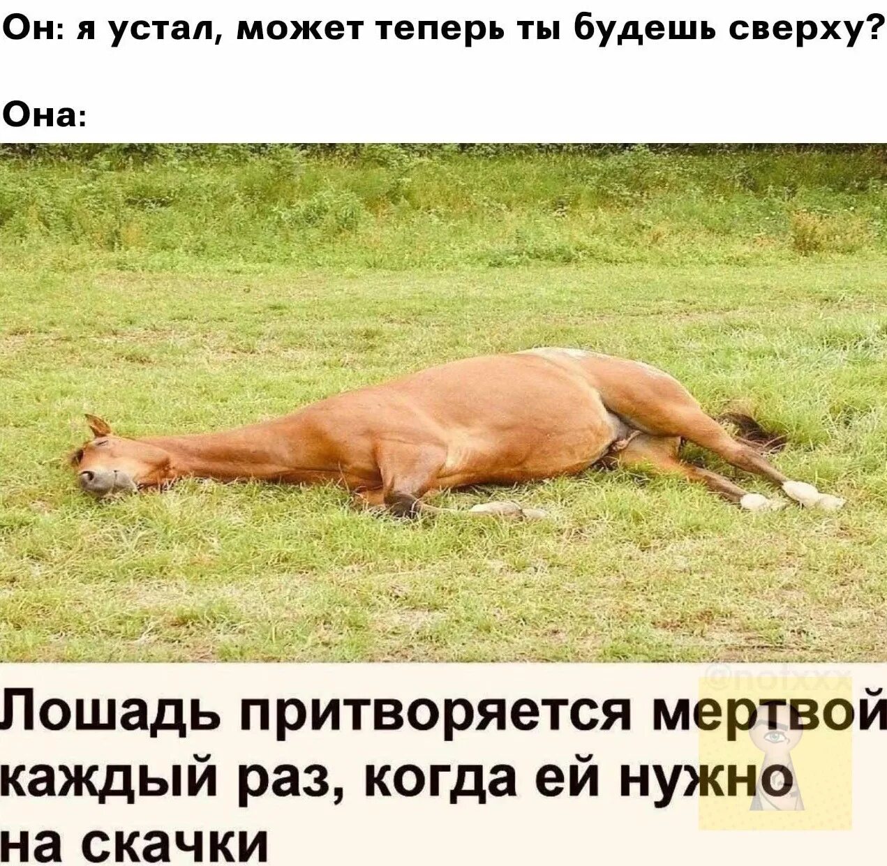 Что значит устал