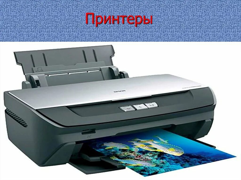 Принтер информатика 7 класс. Принтер это в информатике. принтер для слайда. принтер образ. какие бывают принтеры.