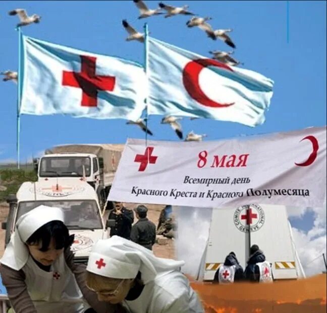 Международный день красного Креста и красного полумесяца. С днем красного Креста и полумесяца. 8 Мая Всемирный день красного Креста.