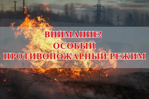 Противопожарный режим омская область 2024