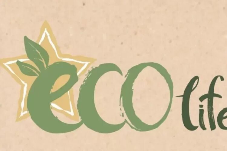 Eco life 1.31. Эко жизнь. Фестиваль «Eco Life». Эко фестиваль логотип. Эко-Lifestyle.