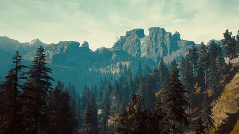 Realistic environment