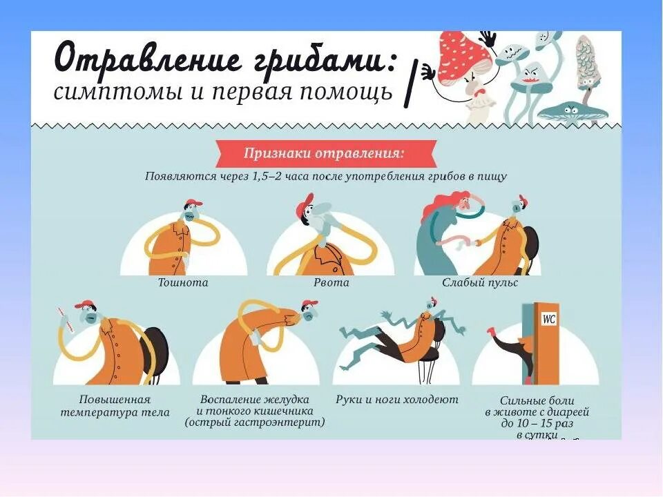 Оказание помощи при отравлении грибами. Ранние симптомы отравления грибами. симптомы отравления ядовитыми грибами. отравление ядовитыми грибами первая помощь. отравление ядовитыми грибами симптомы и первая помощь.