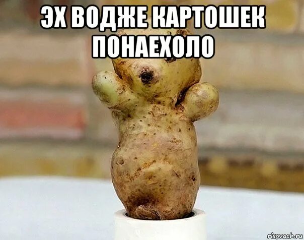Мем с картошкой. Картофель мемы. картошечка мем. крепкий картошек мем. мем люблю картошку.