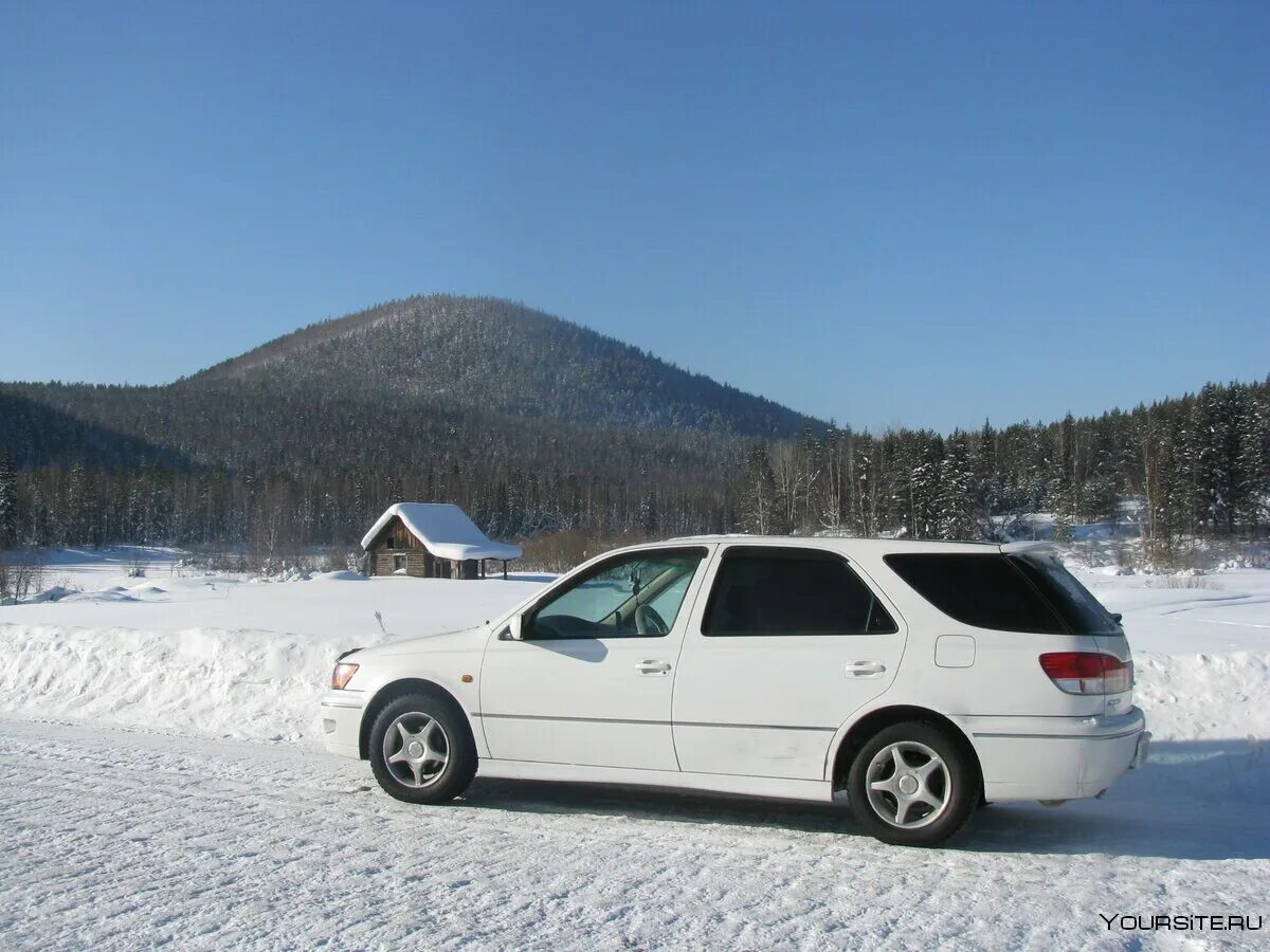 Тойота Виста Ардео универсал. Тойота Виста Ардео 1999. Toyota Vista универсал v50. Тойота Виста Ардео универсал 2001г. Тойота виста универсал