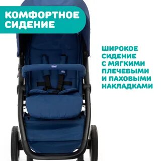 Чико пермь