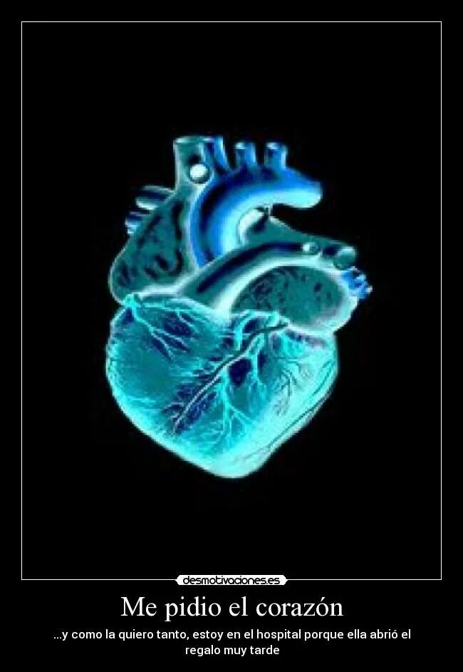 Живое сердце бьется. Сердце анатомия. Человеческое сердце гиф.