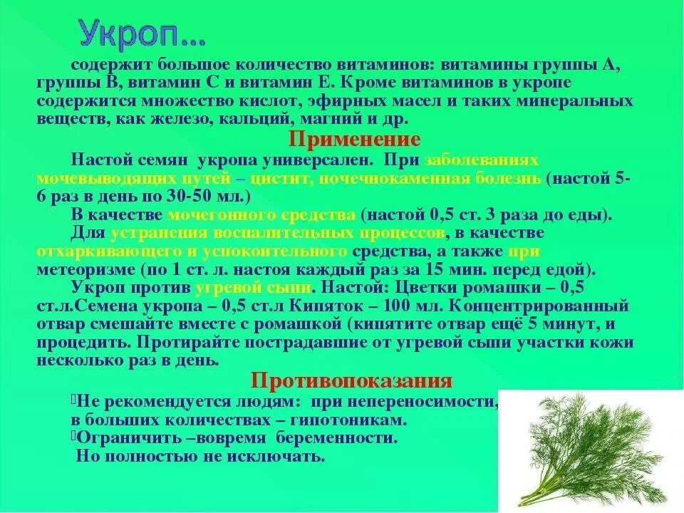 Укроп от запора. Витамины в укропе свежем. Укропные семена от давления. Семена укропа лечебные при гипертонии. Семена укропа витамины.