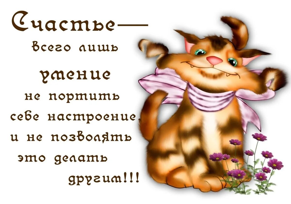 Прикольные картинки для поднятия настроения добрый вечер. Позитивчик для поднятия настроения. картинки для поднятия настроения. весёлые открытки для поднятия настроения. весёлые высказывания для поднятия настроения.