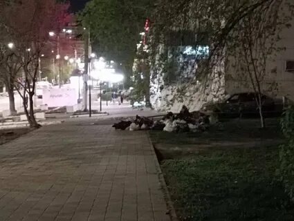 Белгород почему ничего не делают