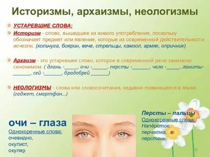 Чем отличаются историзмы от архаизмов примеры