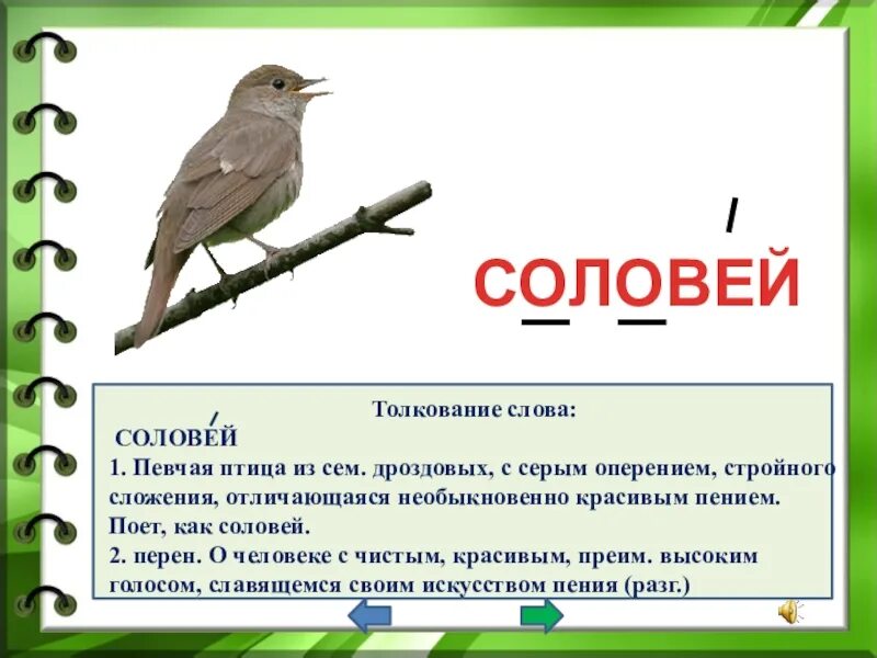 Предложение про соловья. Соловьи текст. Слово Соловей. Соловей презентация. Основная мысль текста соловей