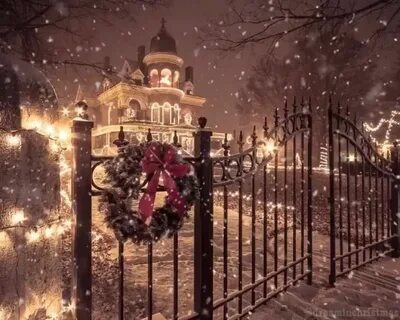 Рождественские фотографии