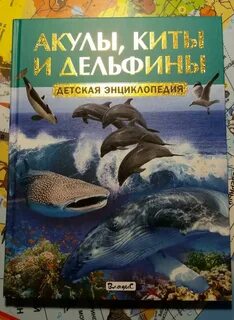 Книга киты дельфины