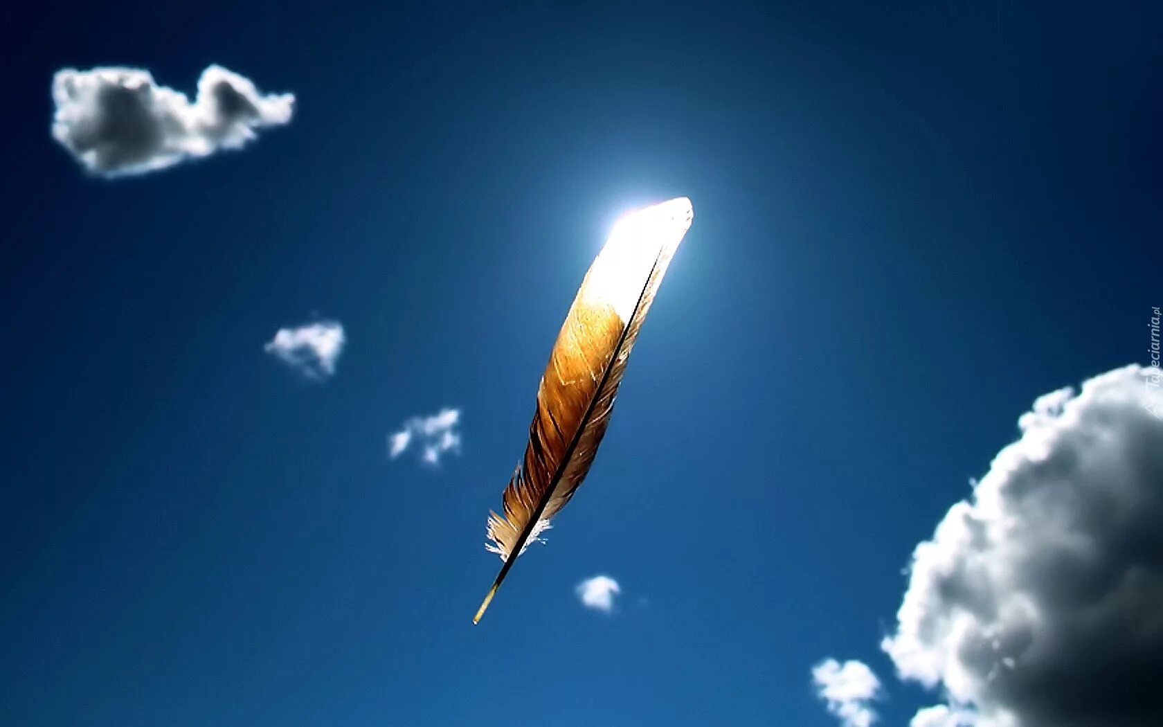 сила слова мечта. девушка легкость. сила слова мечта. произведению грин алые паруса 100 лет. счастливая женщина.